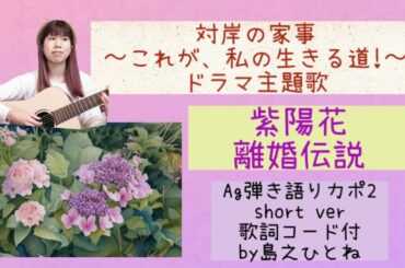 紫陽花/離婚伝説【対岸の家事】ドラマ主題歌 ギター弾き語り 歌詞コード付 short ver. by島之ひとね