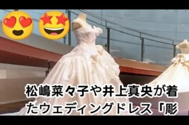 嶋菜々子や井上真央が着たウェディングドレス「彫刻」と呼ばれるワケ
