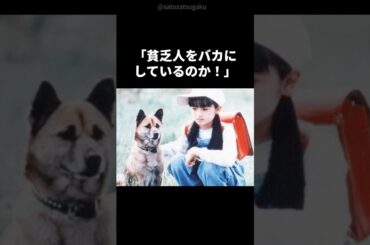 【注目】安達祐実の波乱に満ちた生い立ち#shorts #芸能人 #芸能 #安達祐実