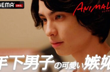 年下男子の嫉妬が可愛すぎる！ 主演： #鈴木愛理 × #本田響矢「恋も仕事も弱肉強食！？」【ANIMALS-アニマルズ-】