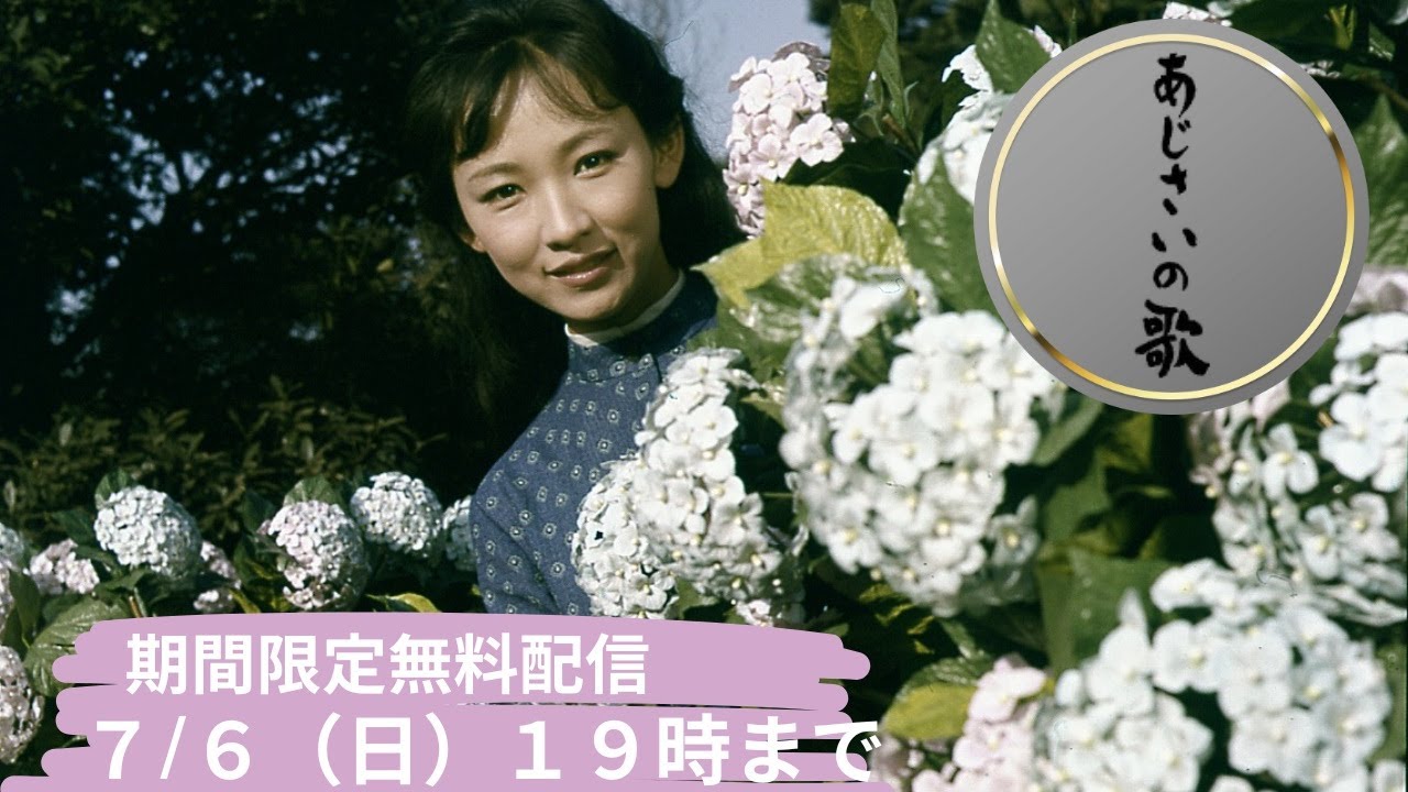 【リクエスト作品】日活スター女優シリーズ　芦川いづみ「あじさいの歌」