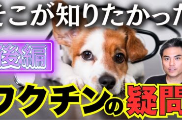 【必ず必要!？】そこが知りたかった、ワクチンの疑問を解決！後編　副作用の症状、出るタイミング、がんと腎臓病との関係【WSAVAガイドライン・獣医師・愛玩動物看護師・動物病院・ペット・犬・猫・狂犬病】