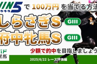 【WIN5で100万円レース評価編】2025年6月22日（日）しらさぎS・府中牝馬S【競馬】