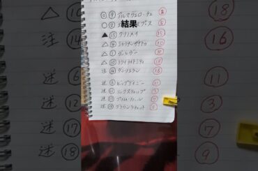 9番人気以下は3着以内にきたことが無いってデータに逆らった結果(泣)　下手くそな私😓　#桜花賞2025 　#桜花賞 　#阪神競馬場 　#競馬 　#競馬結果