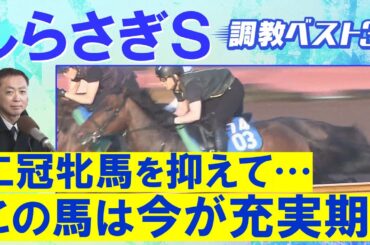 【今週はまさかの結果に…！？】チェルヴィニア、レーベンスティール、シヴァース・・・競馬エイト・高橋賢司トラックマンの調教解説＜しらさぎステークス(ＧⅢ)＞