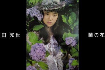 原田 知世『 闇の花 』