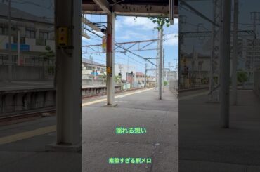 揺れる想い 坂井泉水さん 駅メロ #坂井泉水 #揺れる想い #駅メロ
