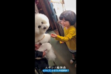 『ムサシノ輪舞曲』特別動画～メイキング編～【最終回】6/21(土)よる11:30～放送！