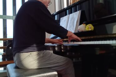 メインテーマ・オブ・華麗なる一族/華麗なる一族/服部隆之『上野原駅ストリート・ピアノ/山梨県上野原市新田』2025年6月20日金曜日【ぴよぴよのおはなしシリーズ/6860】