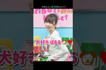 【かわいい✖️かわいい】犬好き ぱるる🐶♥ 【ぱるる部分のみ】 #島崎遥香 #ぱるる #AKB48 #犬好き #犬 #Shorts