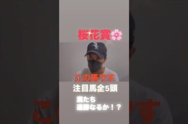 桜花賞！漢達は連勝なるか！？注目馬全5頭！#桜花賞#桜花賞2025#桜花賞予想#桜花賞2025予想#桜花賞追い切り#アルマヴェローチェ#エリカエクスプレス#ウォーターガーベラ