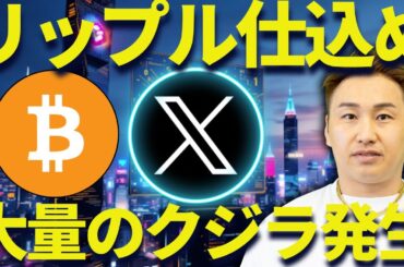 リップルに過去最高のクジラ発生！？ビットコインも15万ドル行くよ！