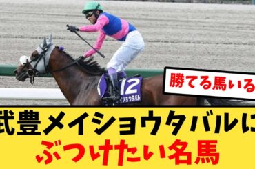 『メイショウタバル武豊にぶつけたい現在・過去の名馬』に対する競馬民の反応集