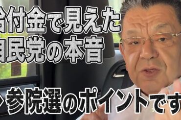 【国民一律2万円】バカげた自民党の公約から見えてきた本音＆財務省に完全に洗脳され尽くしています