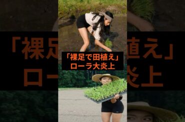 裸足で田植えしローラ大炎上