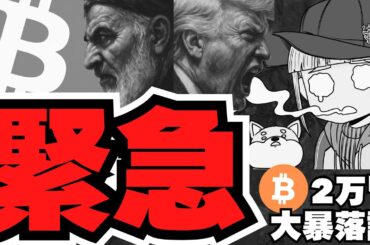 【仮想通貨】ビットコインが10万ドル割れ！次はどうなる？XRPの未来は