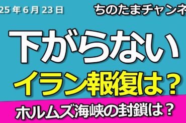 日経平均株価は下がらず。イラン報復が無い？ホルムズ海峡の封鎖は？情報錯そうで材料待ち。下落したら出動できる準備を。