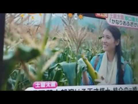 2025 6/20 土屋太鳳、坂口健太郎 新作映画🎦