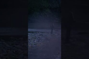 映画【アイヌプリ】絶賛上映中43