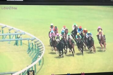 【競馬実況動画2025】第1回しらさぎステークス　キープカルム（坂井瑠星）