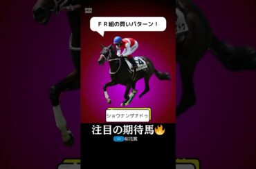 【桜花賞2025】ショウナンザナドゥが美味しい穴馬である理由を１分で解説！/阪神ＪＦはアルマヴェローチェと差なし！#桜花賞 #ショウナンザナドゥ #競馬 #競馬予想 #shorts