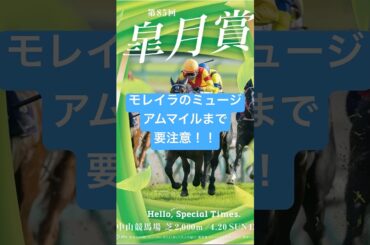 皐月賞 2025 サイン馬券予想  強サインは3頭  #g1  #競馬  #サイン馬券  #cm  #皐月賞