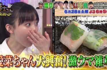 【サンドウィッチマン&芦田愛菜の博士ちゃん】2025年6月28日放送