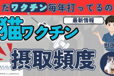 【毎年打つな！】2025年最新の猫のワクチン接種ガイドラインについて