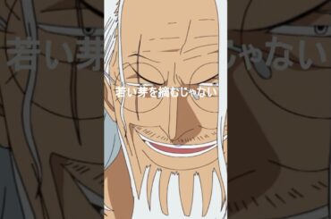 伝説が本当だった瞬間 冥王レイリー ショート#onepiece