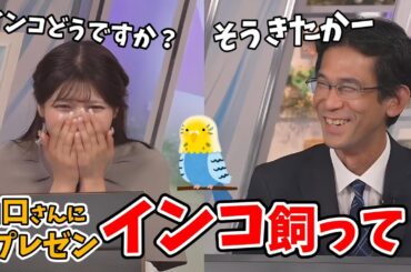 【岡本結子リサ・山口剛央】あまり外出しない山口さんに結子ちゃんからの提案【ウェザーニュース切り抜き】