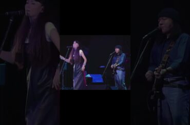 竹内まりや - プラスティック・ラブ #souvenirlive #mariyatakeuchi