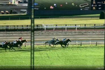 【1.5倍ズームUP】第168回天皇賞・秋GⅠ ⑦イクイノックス 2023.10.29 東京メモリアルスタンド4階手すり
