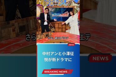 中村アンと小澤征悦が新ドラマに