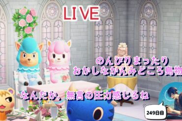 【あつまれどうぶつの森＋α】249日目　かんみどころ島日常枠まったり過ごす大切な日々　島訪問・来島には条件有り！概要欄しっかり見てね