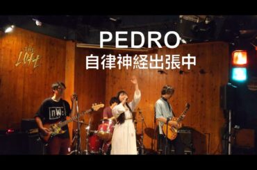 PEDRO 自律神経出張中 コピー