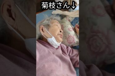 ショートステイ先のコロナチェックで陽性反応が出て帰宅した菊枝さん。#おばあちゃん #高齢者