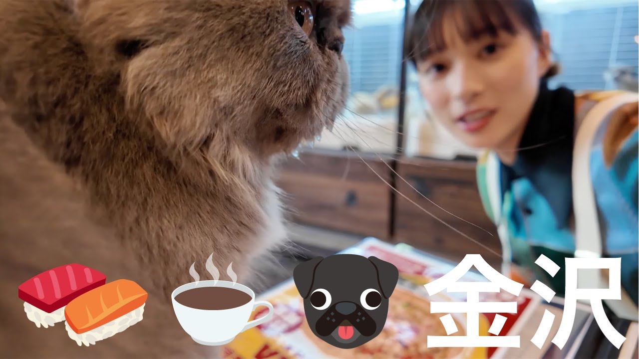 動物カオスに三味線！茶屋街に寿司体験！初夏の金沢に行ってきたぞ！