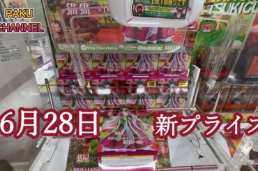 【クレーンゲーム】新プライズ初日攻略☺猫猫しかまだ入荷してなかったけど🥲 #マンガ倉庫月隈 #新プライズ