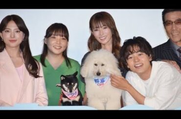 🐶💫💗清原果耶＆成田凌＆ナ・イヌが“運命の犬”で急接近！？心温まる夏ドラマ『君と僕のセントバーナード』に注目！
