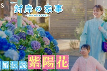 『対岸の家事』×離婚伝説 ｢紫陽花｣ SPコラボムービー!!【TBS】