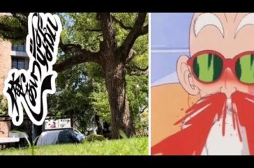 ⚽️47秒から😱‼️リアル転落事故ッ😱‼️あわや即死寸前ッ😱‼️『命懸けの地元トラバイユ（野蛮な旅。）即ち"トラベルの語源"の旅。』