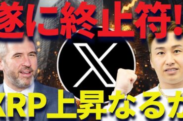 リップルとSEC裁判は出来レースなのか【怒】マジで腹立つ！