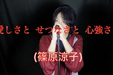 [Vo.&Gt.]愛しさと せつなさと 心強さと(篠原涼子)/hylo