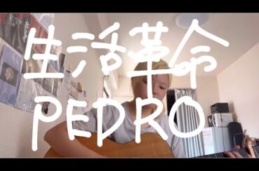 【歌ってみた】生活革命 / PEDRO
