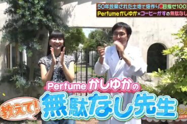 教えて！無駄なし先生４ Perfumeかしゆか