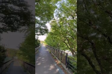 東京都世田谷区駒沢オリンピック公園(Komazawa Olympic Park, Setagaya-ku, Tokyo)