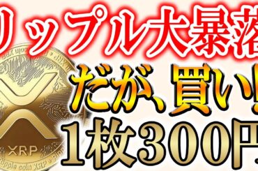 【仮想通貨下落】今が買い時！大口投資家がリップルを買う理由【XRP/ビットコイン】