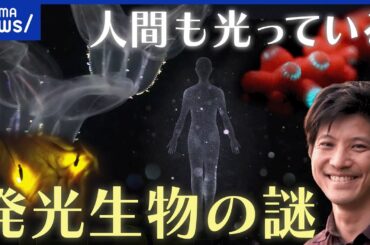 【光る生き物】ホタルだけじゃない！光らせる理由は謎ばかり？ものスゴ研究者｜アベプラ