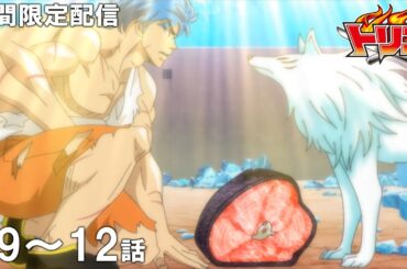 【公式アニメ】『トリコ』第9話～第12話イッキ見！【200万人記念！期間限定配信】