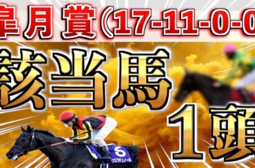【皐月賞2025 予想】全条件パーフェクト◉想定14番人気の大穴＋鉄板馬を狙い撃つ！【競馬予想】